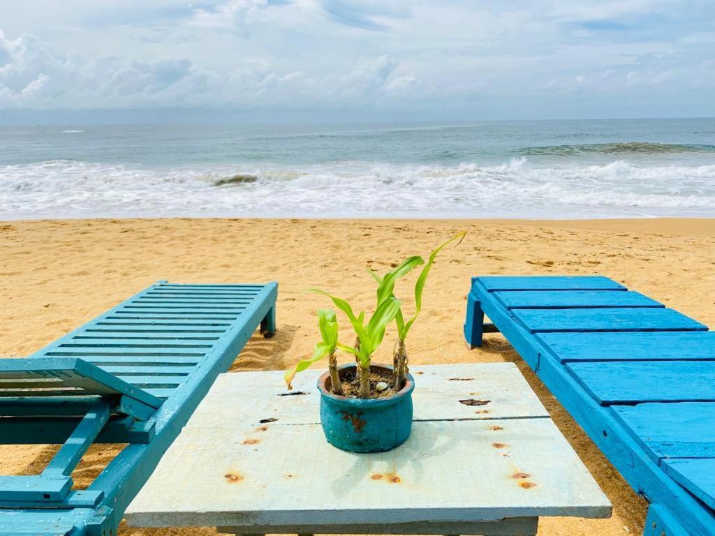 Ramya Ru Beach Home Galle Eksteriør bilde